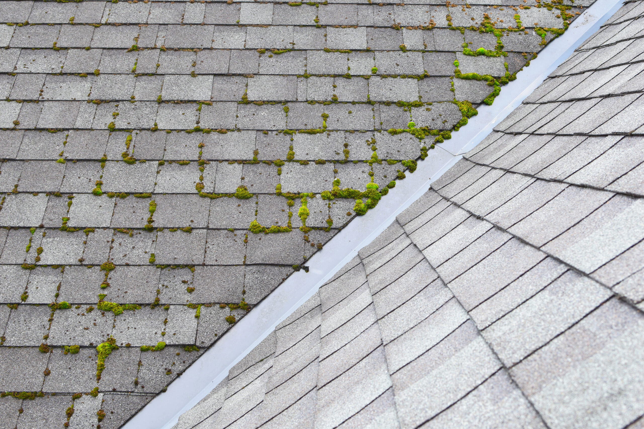 Pressure washing a roof!